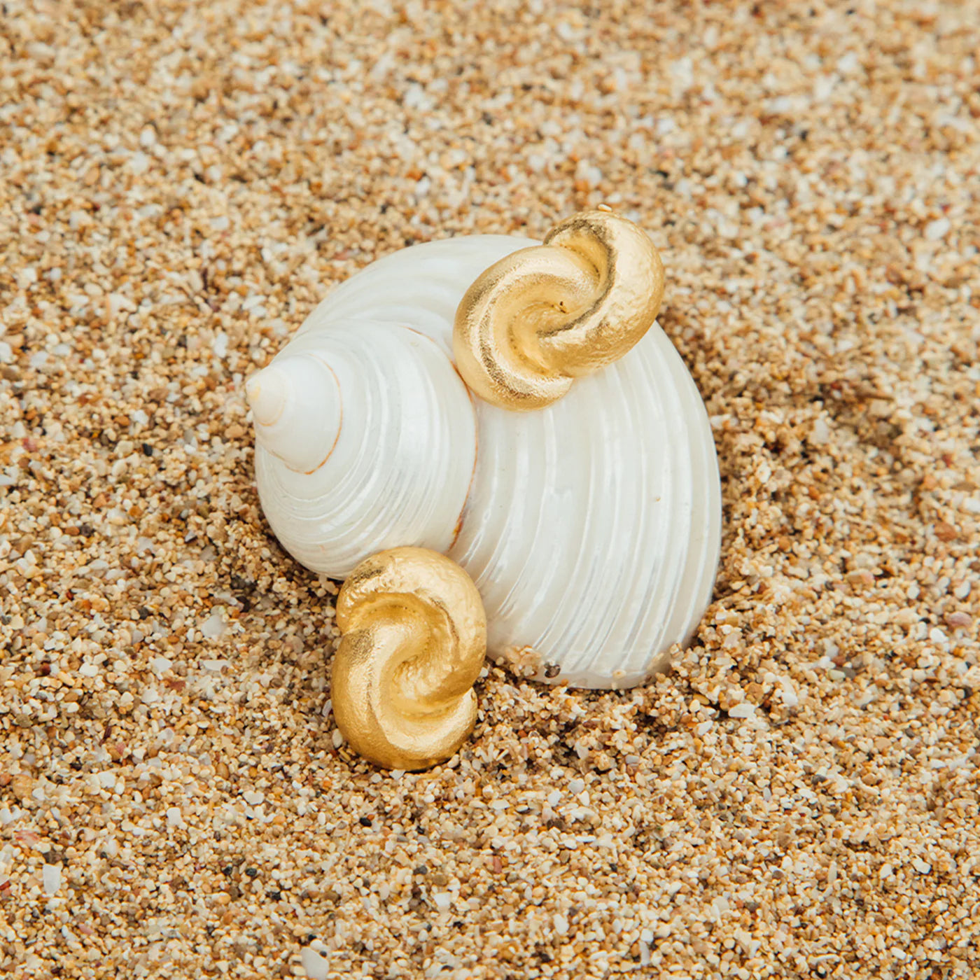 Seashell